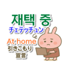 韓国語＋英語＋日本語 ピンクのウサギ（個別スタンプ：40）