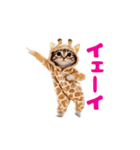 動く！着ぐるみねこちゃん（個別スタンプ：3）