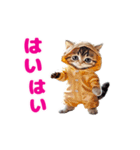 動く！着ぐるみねこちゃん（個別スタンプ：5）