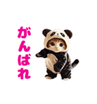動く！着ぐるみねこちゃん（個別スタンプ：7）