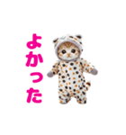 動く！着ぐるみねこちゃん（個別スタンプ：11）
