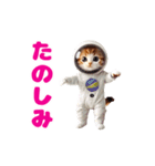 動く！着ぐるみねこちゃん（個別スタンプ：16）