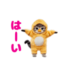 動く！着ぐるみねこちゃん（個別スタンプ：18）
