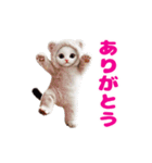動く！着ぐるみねこちゃん（個別スタンプ：21）