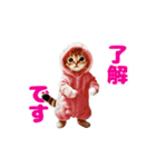 動く！着ぐるみねこちゃん（個別スタンプ：24）