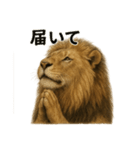 お祈りするライオンのライオン癒しスタンプ（個別スタンプ：10）