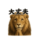 お祈りするライオンのライオン癒しスタンプ（個別スタンプ：14）