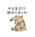 たんたんどうぶつ 2（個別スタンプ：12）