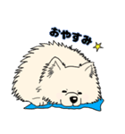 ポメさんとの日々。（個別スタンプ：3）