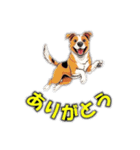 犬の挨拶101（個別スタンプ：23）
