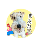 どん⭐︎カンのはっぴいラッキーsmile（個別スタンプ：12）