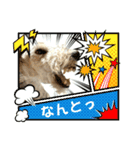 どん⭐︎カンのはっぴいラッキーsmile（個別スタンプ：14）