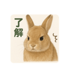わたしのウサギのスタンプ（個別スタンプ：3）