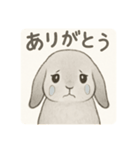 わたしのウサギのスタンプ（個別スタンプ：7）