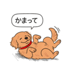 ゴールデンレトリバー(ダークゴールド)（個別スタンプ：3）