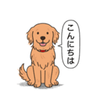 ゴールデンレトリバー(ダークゴールド)（個別スタンプ：5）