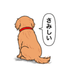 ゴールデンレトリバー(ダークゴールド)（個別スタンプ：6）