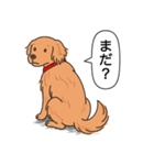 ゴールデンレトリバー(ダークゴールド)（個別スタンプ：7）