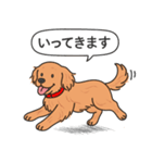 ゴールデンレトリバー(ダークゴールド)（個別スタンプ：8）