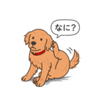 ゴールデンレトリバー(ダークゴールド)（個別スタンプ：9）