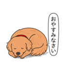 ゴールデンレトリバー(ダークゴールド)（個別スタンプ：10）