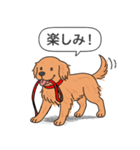 ゴールデンレトリバー(ダークゴールド)（個別スタンプ：14）