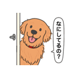 ゴールデンレトリバー(ダークゴールド)（個別スタンプ：19）