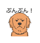ゴールデンレトリバー(ダークゴールド)（個別スタンプ：23）