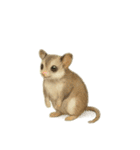 動物たちの街づくりスタンプ（個別スタンプ：8）