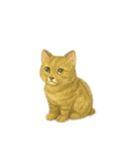 動物たちの街づくりスタンプ（個別スタンプ：13）