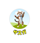 cat greating 101（個別スタンプ：1）