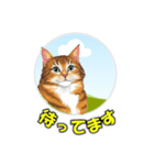 cat greating 101（個別スタンプ：2）