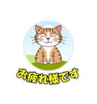 cat greating 101（個別スタンプ：5）
