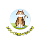 cat greating 101（個別スタンプ：6）