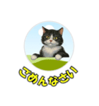 cat greating 101（個別スタンプ：10）