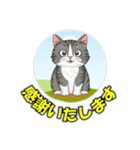 cat greating 101（個別スタンプ：11）