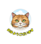 cat greating 101（個別スタンプ：13）