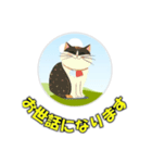 cat greating 101（個別スタンプ：16）