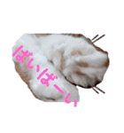 愉快なCAT達2（個別スタンプ：8）