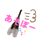 愉快なCAT達2（個別スタンプ：13）