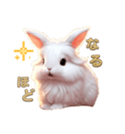 しろいうさぎとくろいうさぎ（個別スタンプ：4）