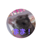 かわいいモカ老師（個別スタンプ：8）