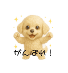 神秘のゆるふわワンちゃん（個別スタンプ：1）