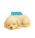 神秘のゆるふわワンちゃん（個別スタンプ：4）