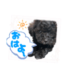 チョーやんちゃ犬うに君（個別スタンプ：2）
