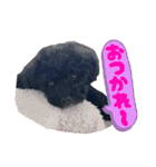 チョーやんちゃ犬うに君（個別スタンプ：4）