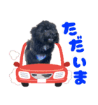 チョーやんちゃ犬うに君（個別スタンプ：6）