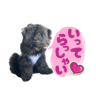 チョーやんちゃ犬うに君（個別スタンプ：7）