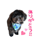 チョーやんちゃ犬うに君（個別スタンプ：9）