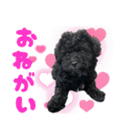 チョーやんちゃ犬うに君（個別スタンプ：10）